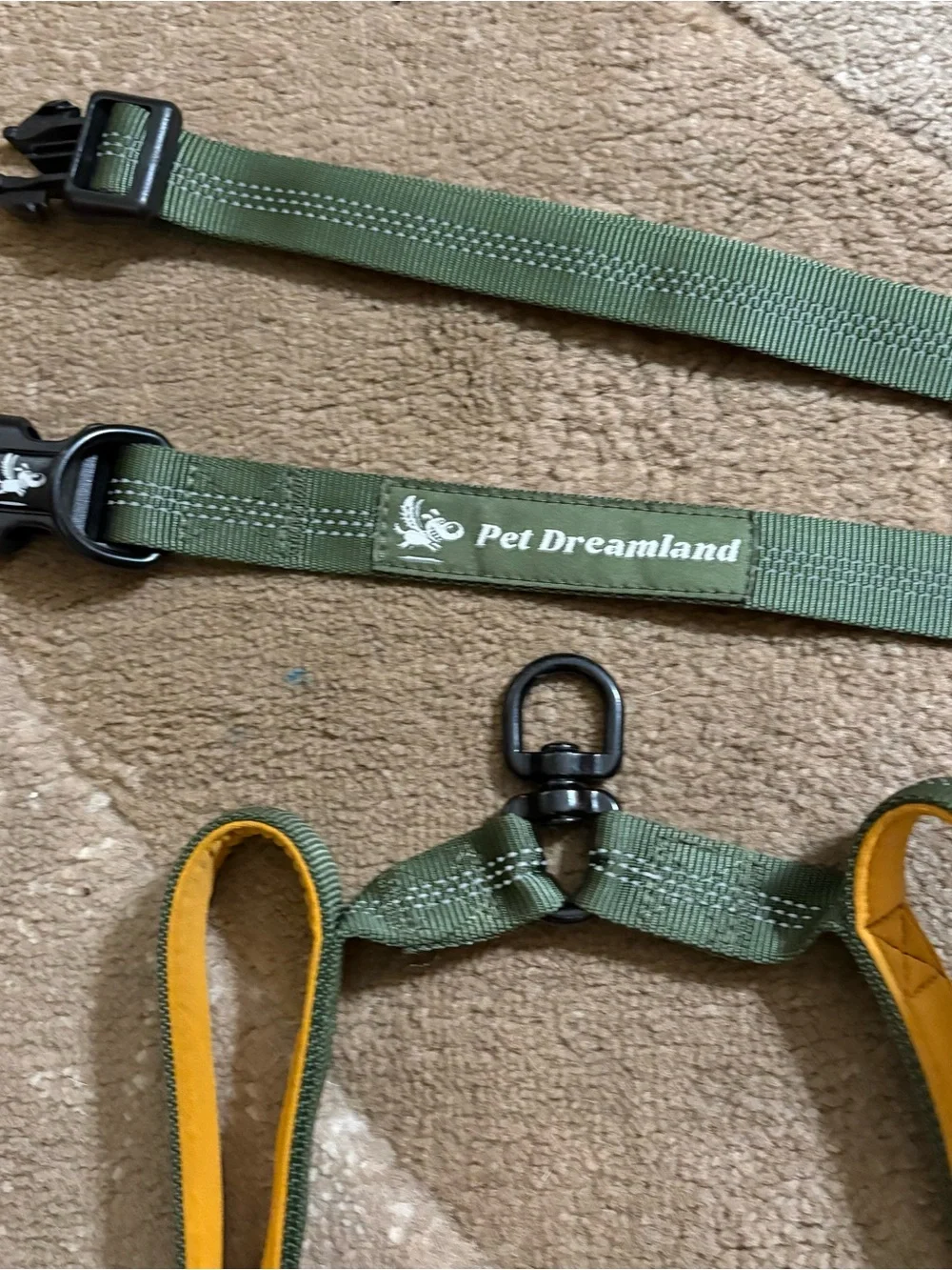 Olive Green & Orange Hands-Free Walk 2 Dogs Leash